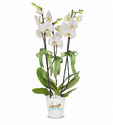 Kisiye zel Happy Birthday Orkide Beyaz